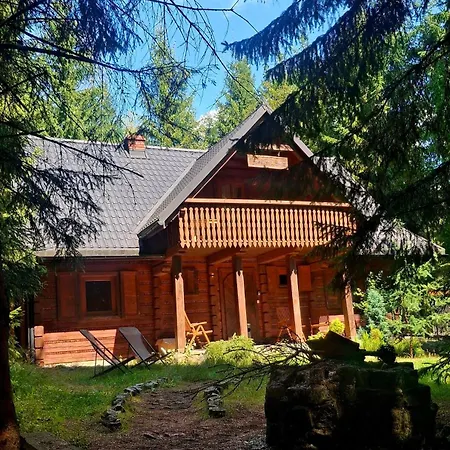 Wood & Wild * Istebna