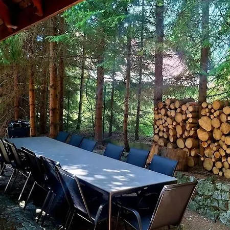 Wood & Wild * Istebna